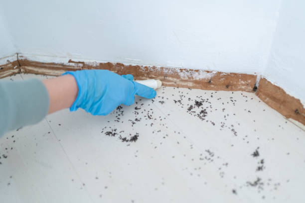 Best Residential Pest Control  in Spicer, MN